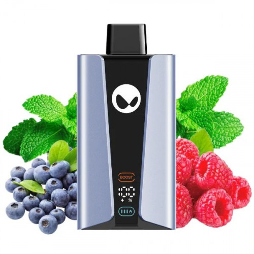 WAKA soPro 20000 - Черника Малина Ментол